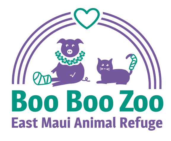 Boo Boo Zoo logo design