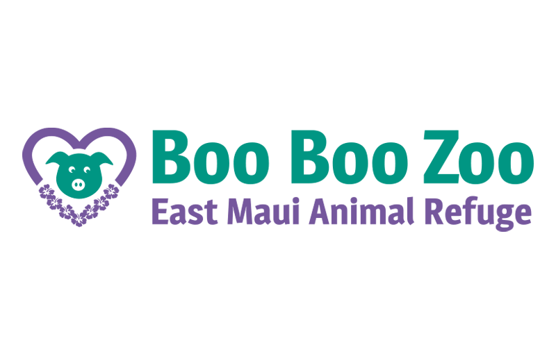 Boo Boo Zoo logo design
