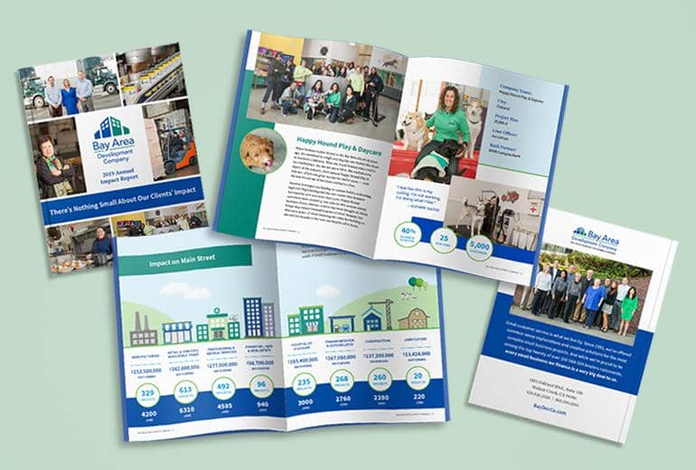 Annual Report for Bay Area Development Company