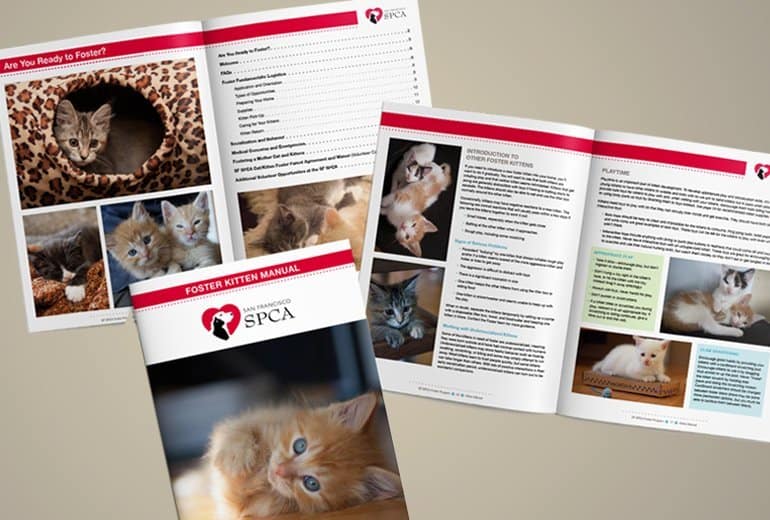 SF SPCA Foster Kitten Manual